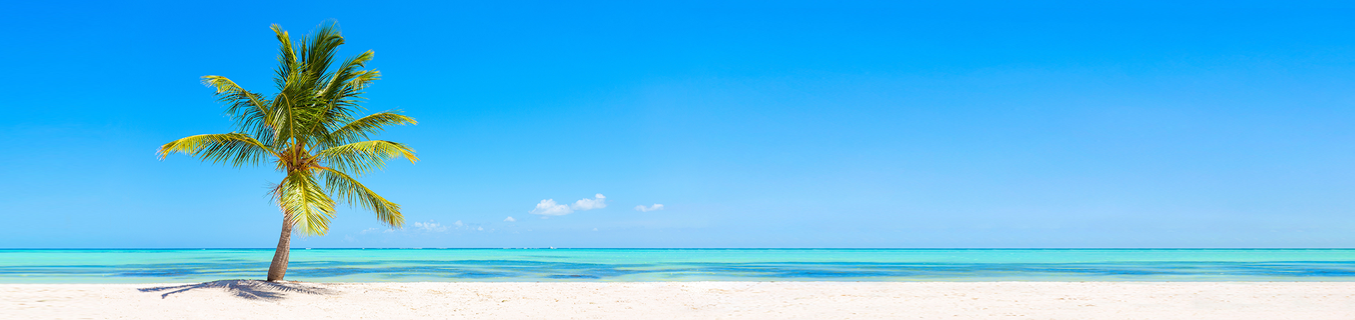 Amanda Vacation Rentals Hero Image